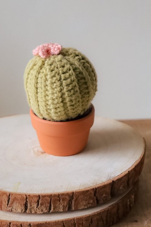 かぎ針編みの癒しのサボテンの装飾、手作りの植物スタイルの多肉