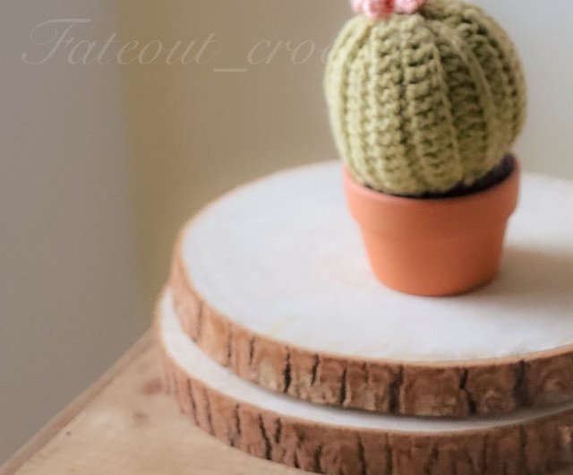 かぎ編み ハンドメイド 多肉植物の寄せ植え インテリア ナチュラル雑貨