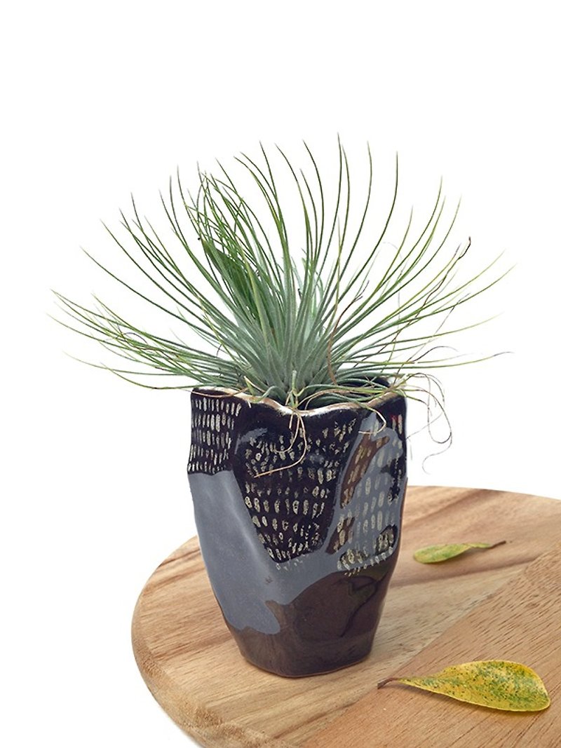 Small ceramic plant pot for cactus , handmade pottery , small pot , black pot - Plants - Pottery Black