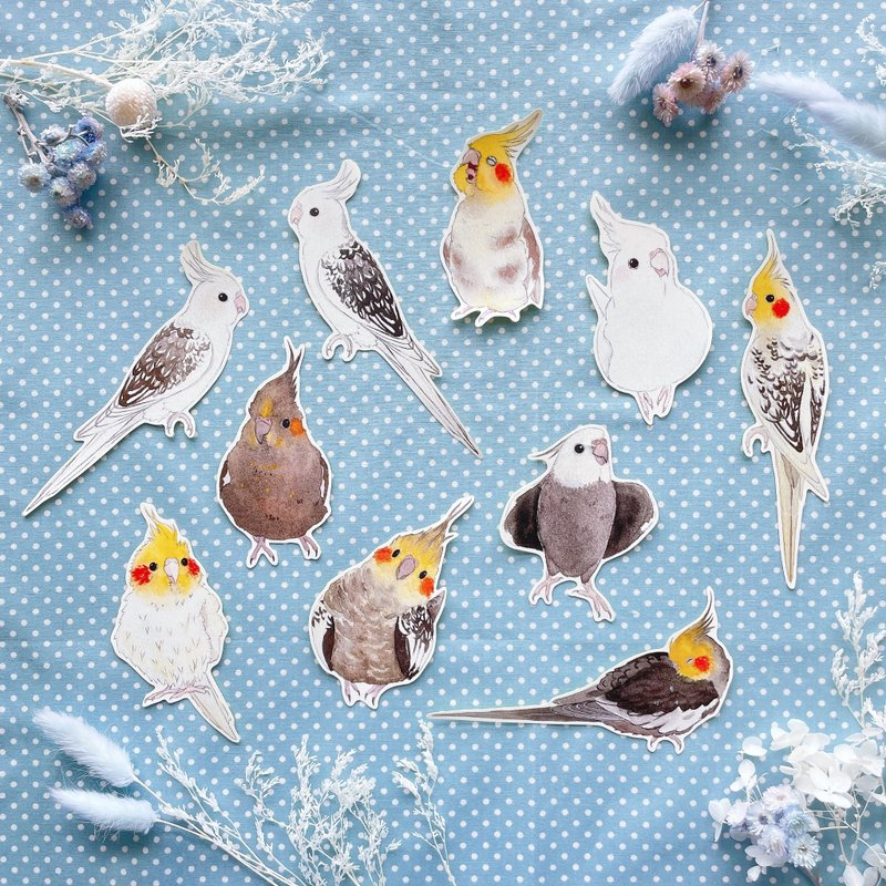 Rolia's 手作 玄鳳鸚鵡 防潑水白底/防水透明白墨貼紙 - 貼紙 - 紙 