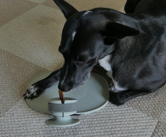 Chewden Trove, Frozen Treat Holder for Dogs - Lunoji