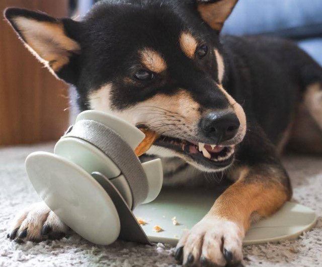 Lunoji - CHEWDEN Trove - Frozen Treat Holder