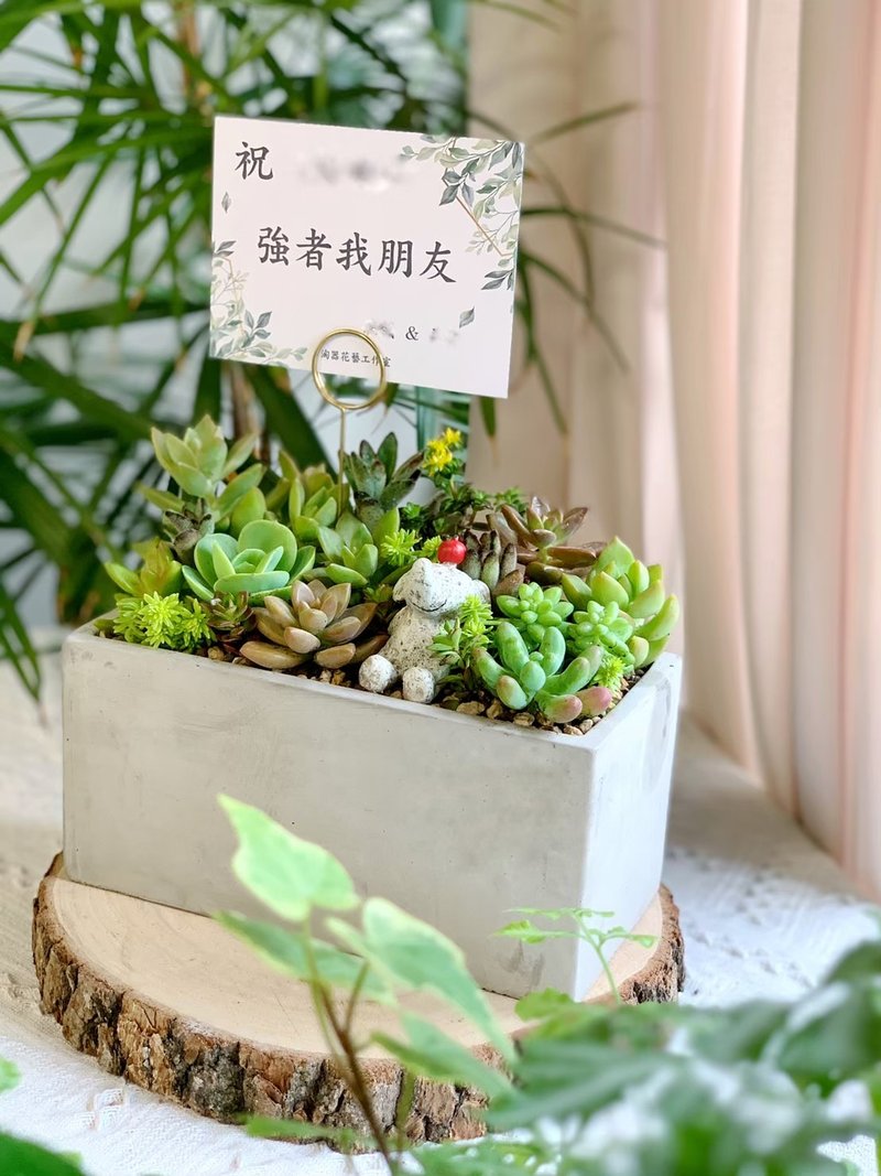 【開幕賀禮】水泥多肉組盆-長方形款.新居落成.升官喬遷 - 盆栽/植栽 - 植物．花 綠色