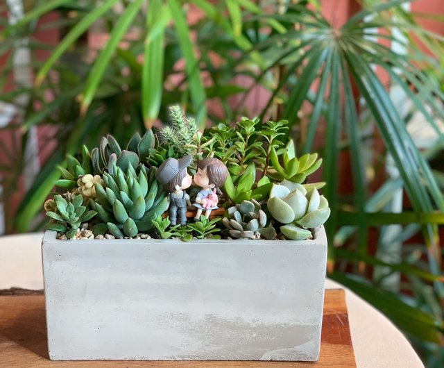 開店祝い・新築祝い・昇進祝いに】セメント製多肉植物の寄せ植え