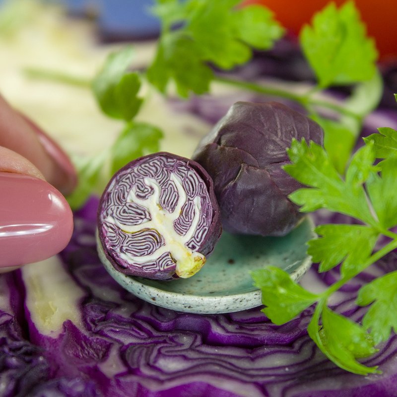 TUTORIAL Miniature red cabbage cane with polymer clay | PDF + video - 手工藝教學/工具書 - 其他材質 