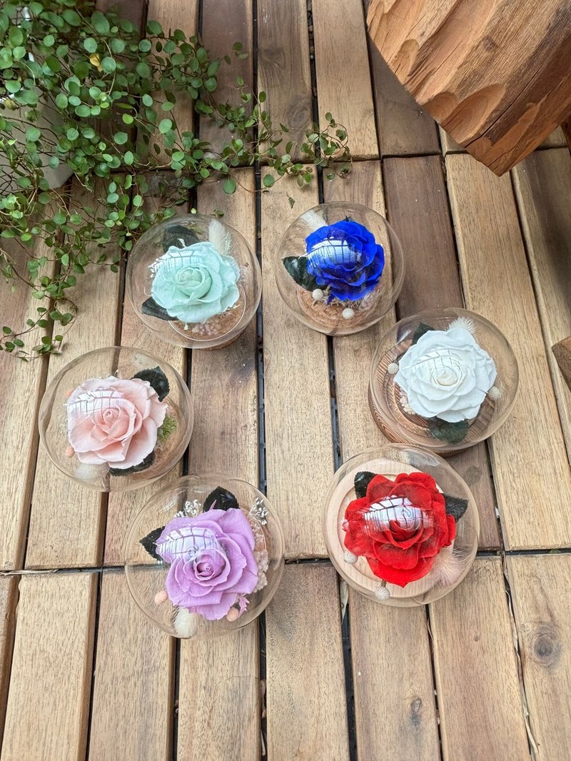 Mini Asteroid Little Prince's Rose Cup - ของวางตกแต่ง - พืช/ดอกไม้ 