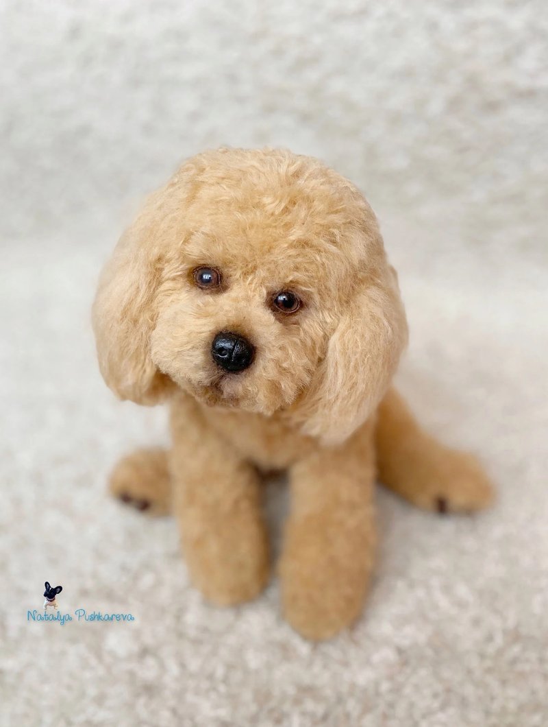 桃子贵宾犬逼真的玩具 - 公仔/玩偶 - 聚酯纖維 白色