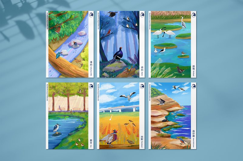 Between the Birds and the Island_Taiwan wild bird illustration postcard set - Cards & Postcards - Paper Multicolor