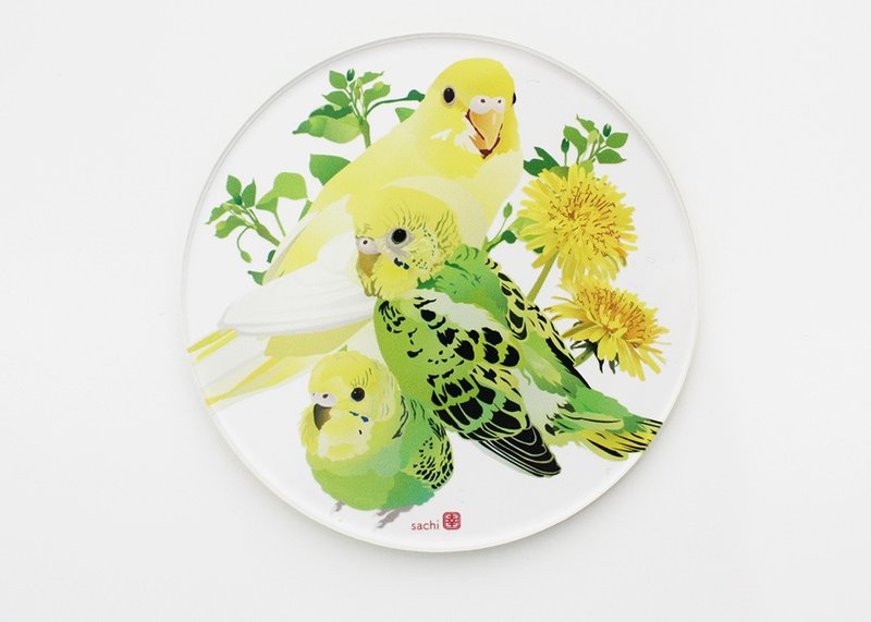 Acrylic coaster Budgerigar - ที่รองแก้ว - อะคริลิค สีใส