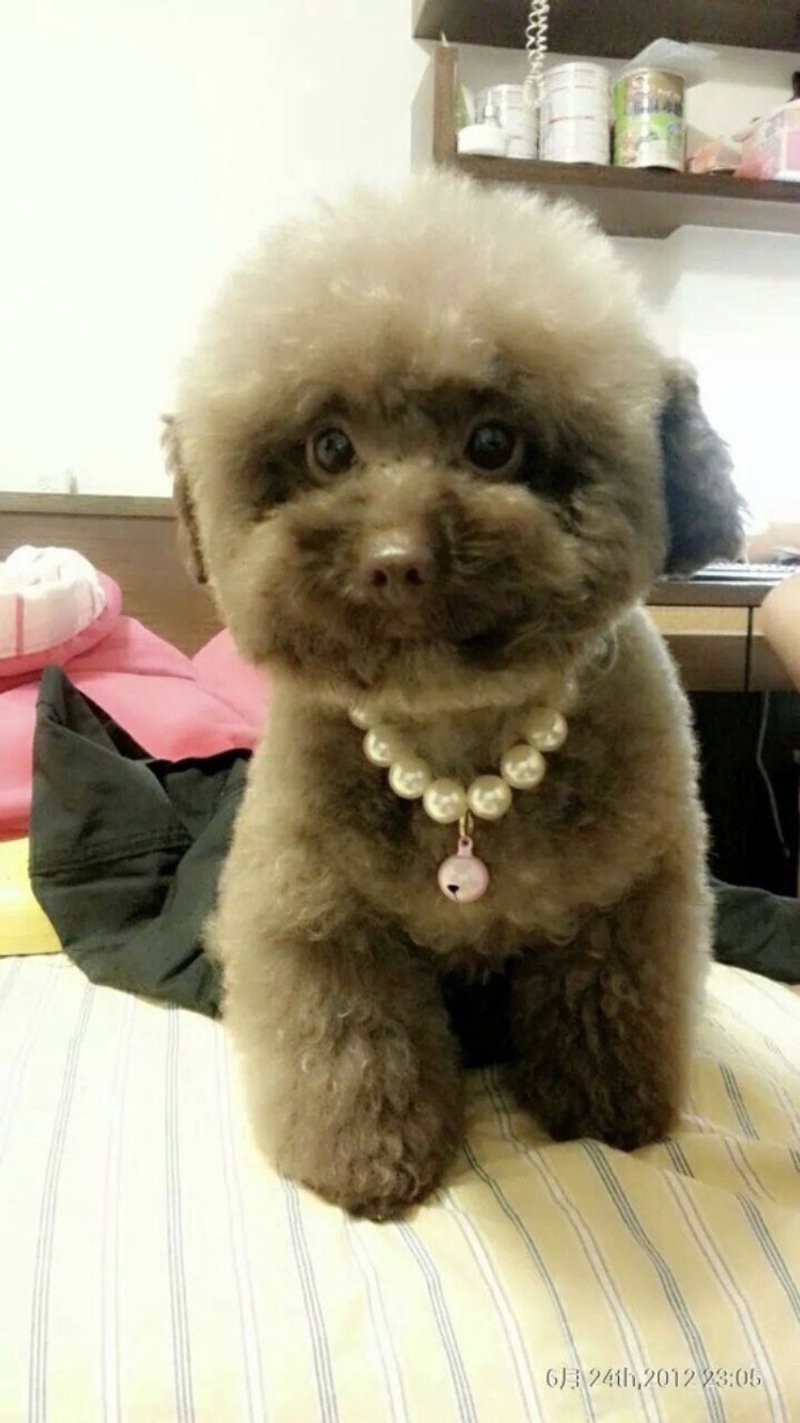 VIP dog gogoro customized leather case - ที่ห้อยกุญแจ - หนังแท้ สีเทา