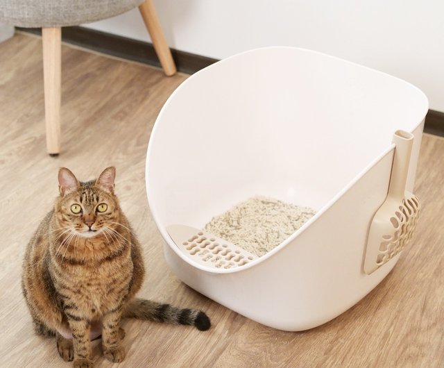 Pet planet outlet cat litter