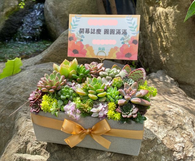 お急ぎ便対応】多肉植物の寄せ植え｜無料メッセージカード｜安心