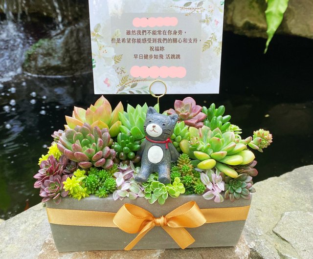 お急ぎ便対応】多肉植物の寄せ植え｜無料メッセージカード｜安心配送