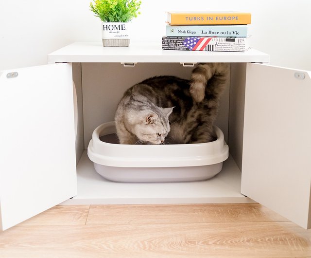 Cat toilet outlet house