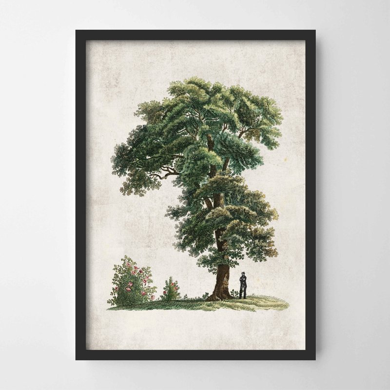 復古樹 #3 畫 佈置 擺飾 臥室 浴室 餐廳 咖啡廳 - 擺飾/家飾品 - 紙 