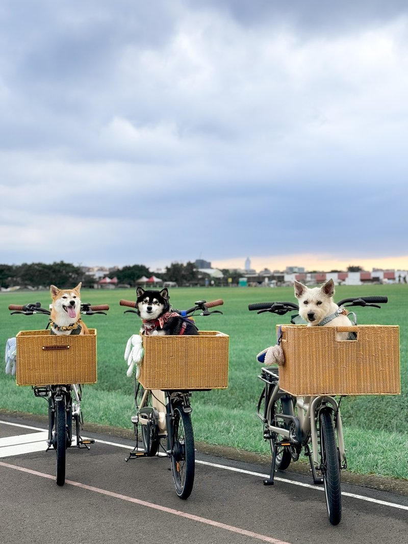 毛孩自行車 丨 台北市區輕度遊 - 戶外/室內活動 - 其他材質 