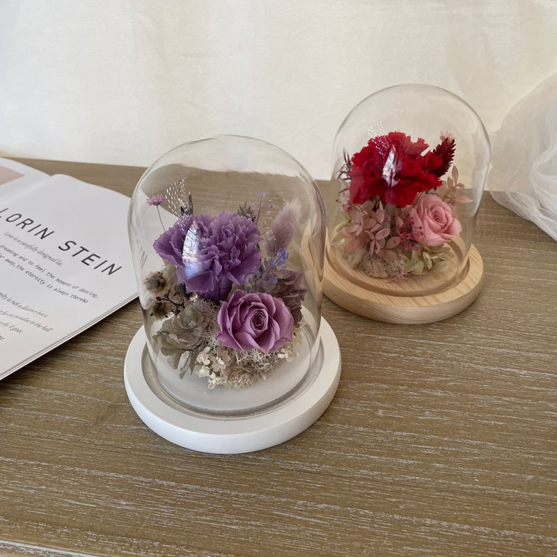 Japan imported eternal carnation rose glass cover/Mother's Day/Teacher's Day - ช่อดอกไม้แห้ง - พืช/ดอกไม้ 