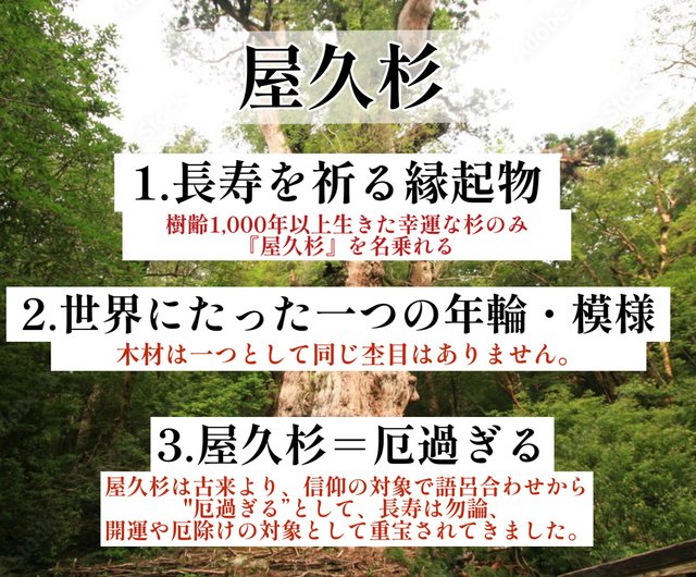 世界でたった一本】屋久杉のボールペン 長寿を祈る贈り物に - ショップ 金井工房 油性ボールペン - Pinkoi