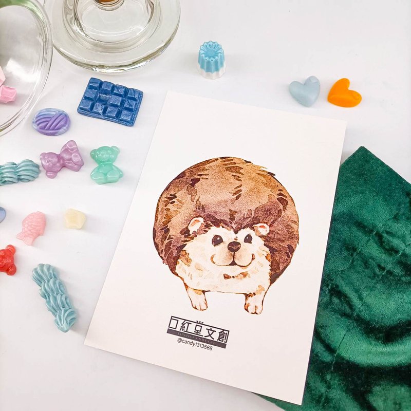 KR474_口紅堂明信片_刺蝟4_candy1313588 postcard - 卡片/明信片 - 紙 多色