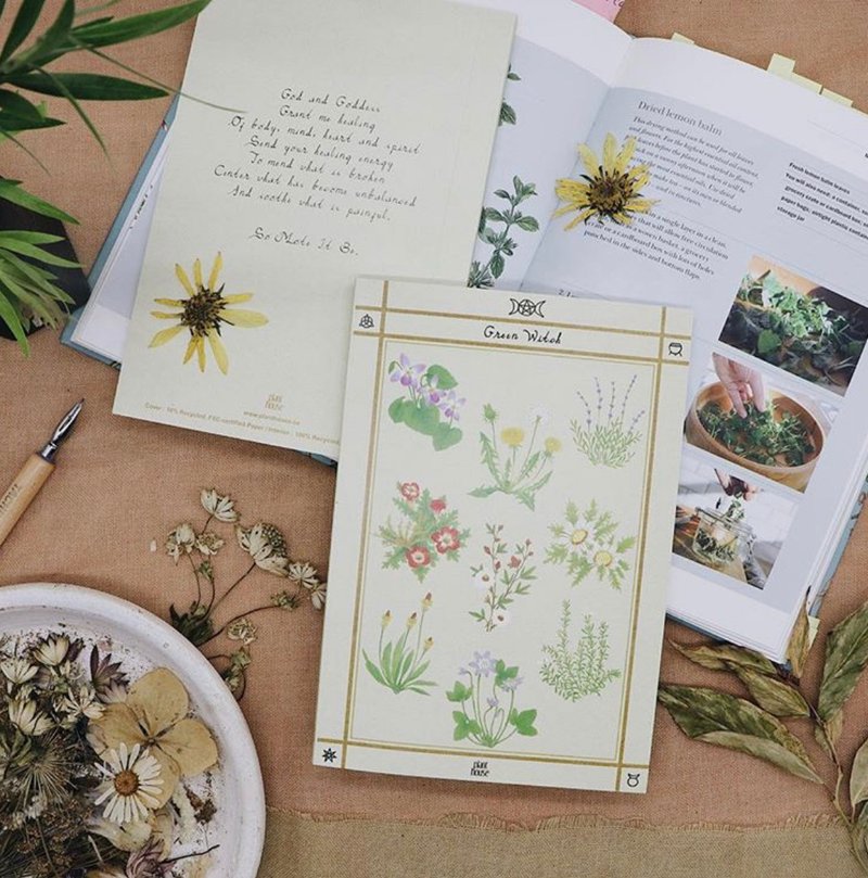 Green Witch Notebook Plant House - 筆記本/手帳 - 紙 多色