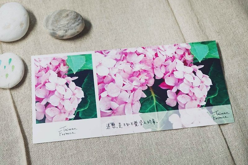 【Stub Postcard】-Infatuation-Confession Recommendation - Cards & Postcards - Paper Pink