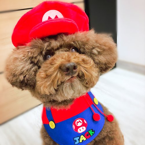 Unique Handmade HK Super Mario 造型頸飾 角色扮演 寵物 圍巾 貓犬 狗狗 頸項
