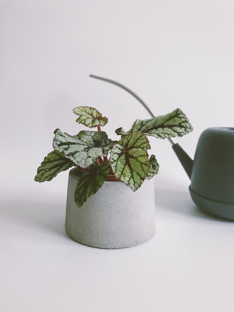 North Point-Nordic style simple Cement basin/ Cement gray flowerpot/two-color Cement basin - Pottery & Ceramics - Cement Gray