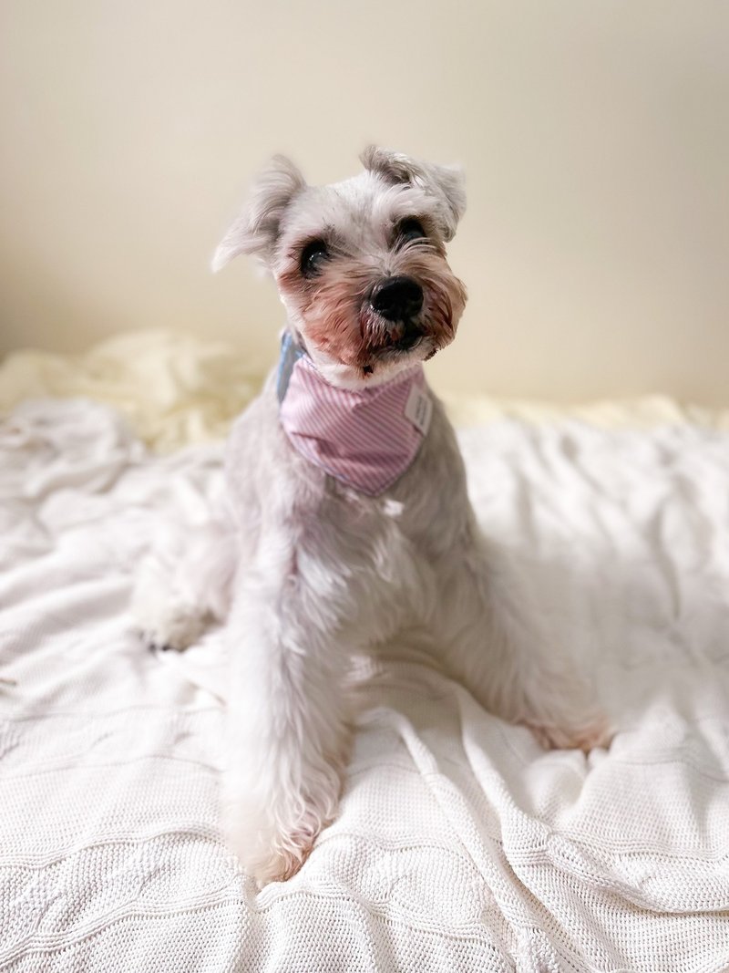 春夏 2023 Y2K 風格純棉寵物領巾 恆常款 【ICE CREAM】 - 寵物衣服 - 棉．麻 多色