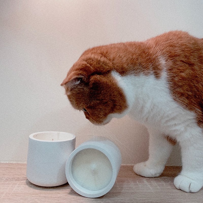 Sakido pet friendly candle 150g specially designed for cat owners NO.0618 purr - Fragrances - Cement White