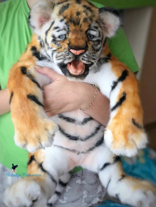 Baby Tiger Cubs Ultra-Realistic (Set of 2)