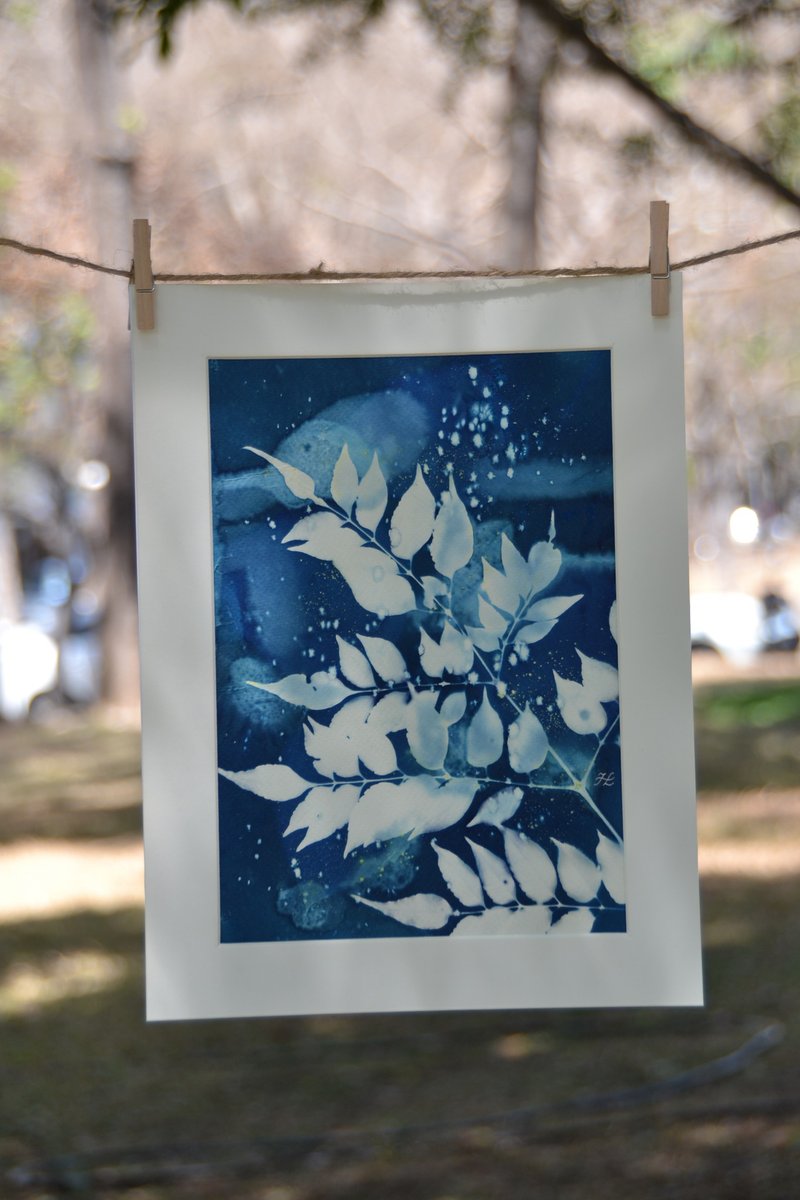 Botanic Wet Cyanotype Framed Art Piece - ตกแต่งผนัง - กระดาษ สีน้ำเงิน