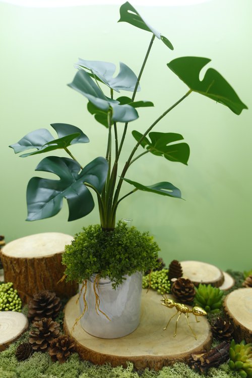榆果傢飾 HUGO DECO 擬真龜背芋 電信蘭香氛植栽 高款/擬真植物/人造盆栽/綠化/佈置