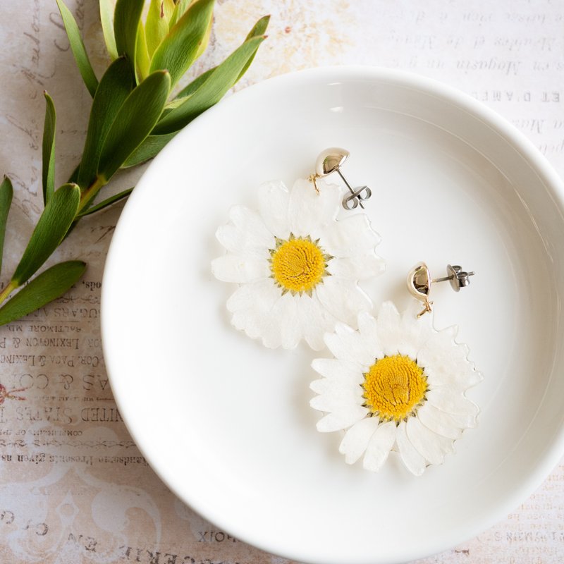 Pressed flower Chrysanthemum paludosum earrings - ต่างหู - เรซิน สีเหลือง