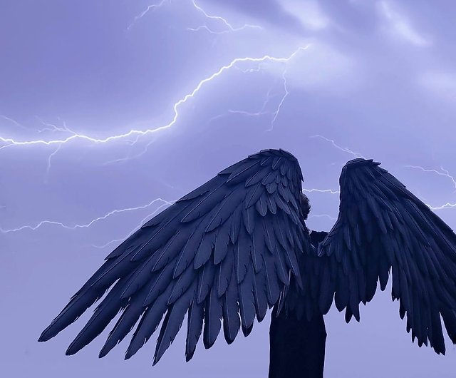 Black Wings, Black Angel Wings, Halloween Wings, Maleficent Wings, Costume Wings, Cosplay | Angel Wings Cosplay