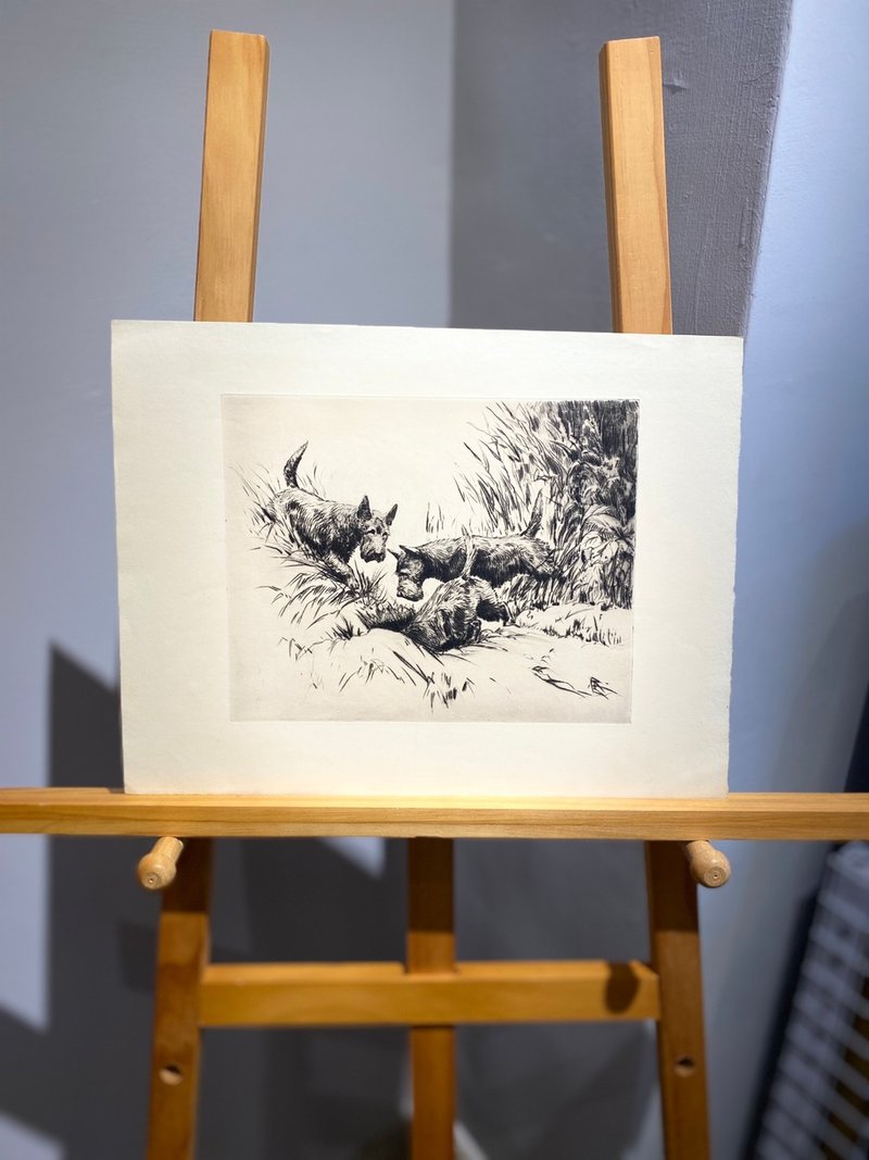 華盛頓DC藝術家Morgan Stinemetz-蘇格蘭梗-蝕刻版畫-Etching - 海報/掛畫/掛布 - 紙 白色