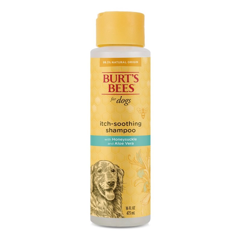 Burt's Bees Honeysuckle and Avocado Shower Gel 16oz - Cleaning & Grooming - Other Materials Orange