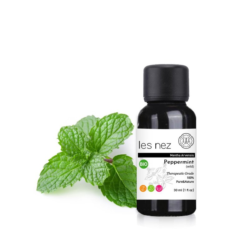 【Les nez 香鼻子】天然單方胡椒薄荷/野地薄荷純精油 30ML - 香氛/精油/擴香 - 精油 黑色