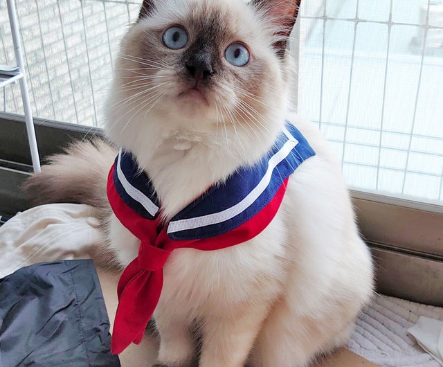 大学制服 チェストストラップ 【猫用】ペット チェストバック リード付き - ショップ meowcraft 洋服・帽子 - Pinkoi