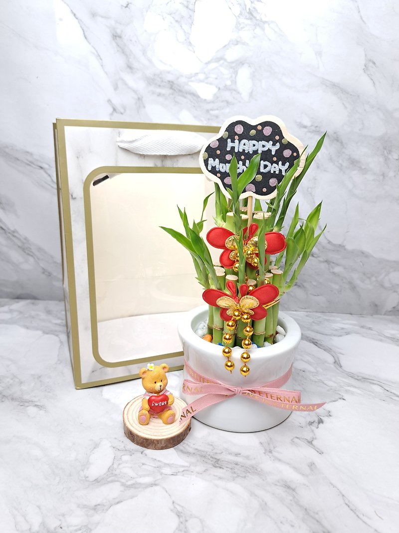 Lucky Bamboo Shaped Gift Pot Lucky Bamboo Opening Congratulations Gifts Entering House Housewarming Promotion Graduation Mother's Day Gift - ตกแต่งต้นไม้ - เครื่องลายคราม ขาว