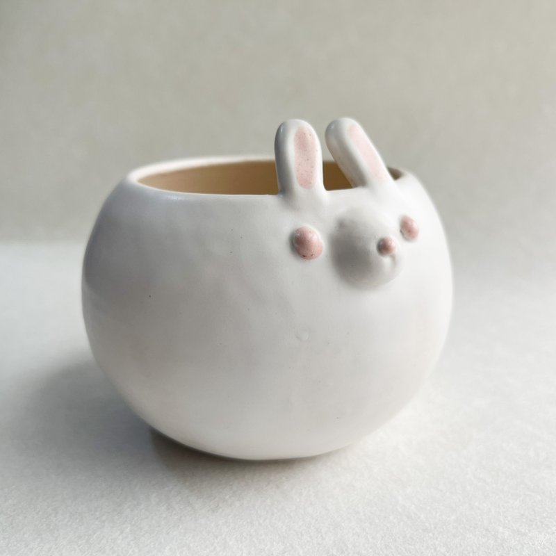 Ceramic Pot - Plants - Pottery White