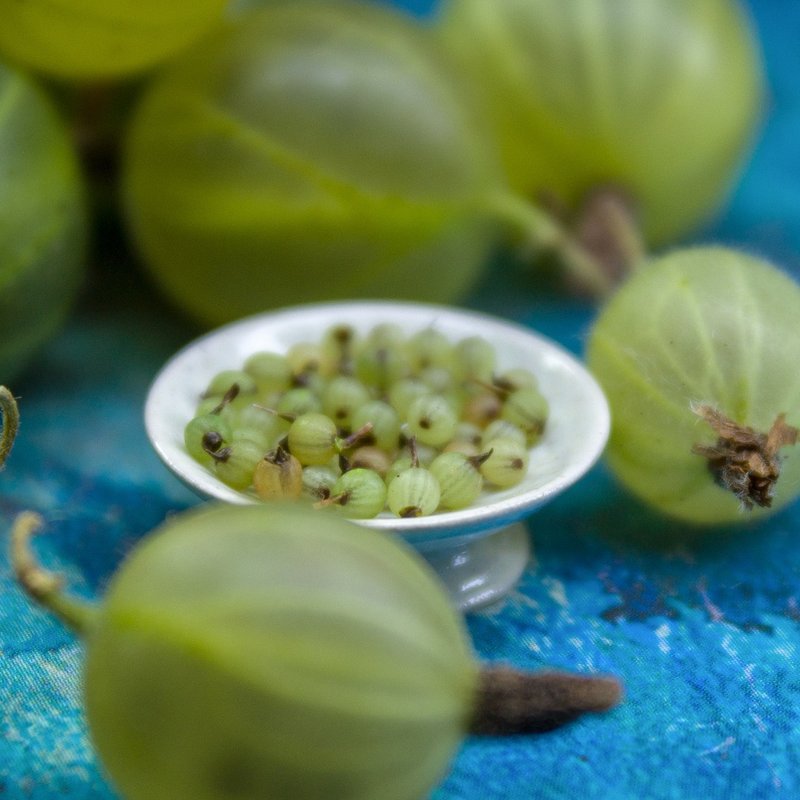 TUTORIAL Miniature gooseberries with polymer clay | PDF + video - 手工藝教學/工具書 - 其他材質 