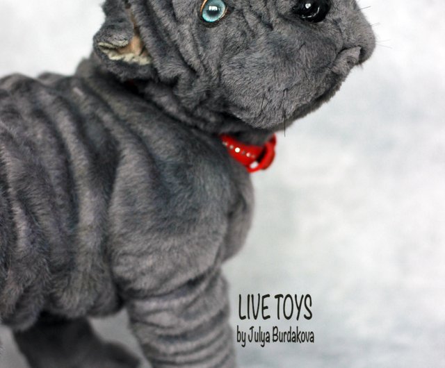 Shar clearance pei teddy