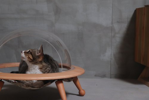 Ufo hotsell cat bed