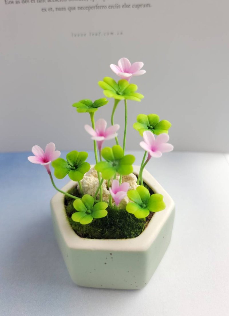 冷瓷土/黏土花藝-幸運草小盆栽/送禮 - 植栽/盆栽 - 黏土 多色