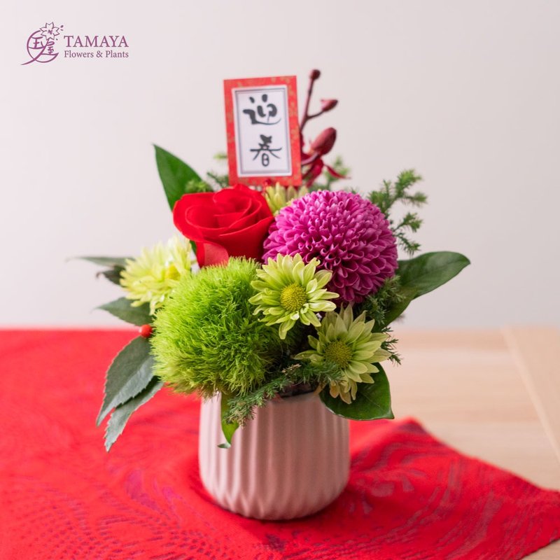 [Zhu Guang] Spring Festival Flower Gifts New Year Flower Gifts - Plants - Plants & Flowers Red