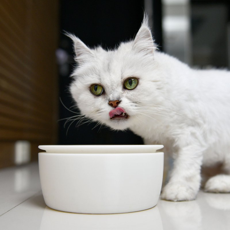 [Mini Senhuo] Tasty cat bowl/large cat jar set/heated, insulated, ant-proof and overflow-proof - ชามอาหารสัตว์ - เครื่องลายคราม ขาว