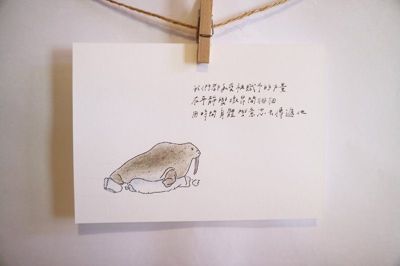 Animals with its poems 20 / sea lions / hand-painted / card postcards - การ์ด/โปสการ์ด - กระดาษ 