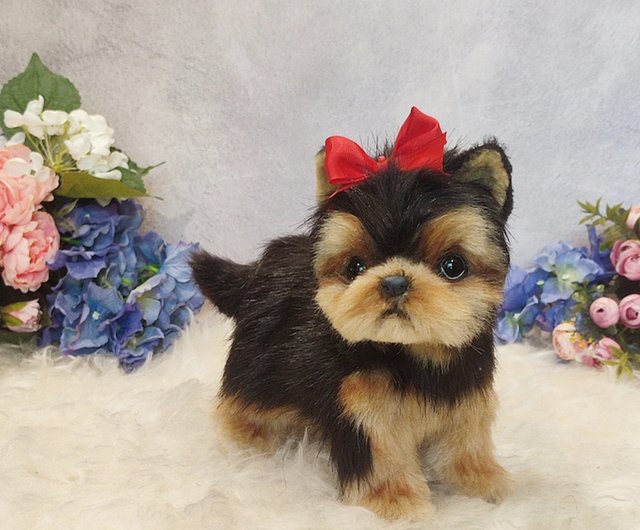 ぬいぐるみ犬　子犬　わんちゃん　リアル　テリア　ヨーキー　ヨークシャテリア Amazon.co.jp: Babboo Yorkie ぬいぐるみ ヨーキー ぬいぐるみ