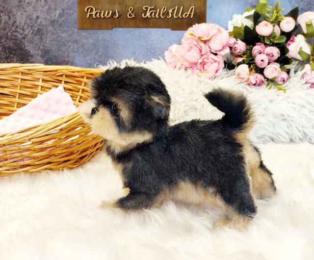 Lifelike Yorkshire Terrier Plush Toys Simulation Stuffed Animal