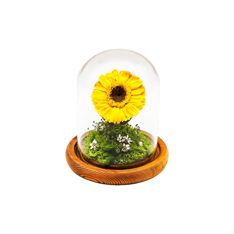 Minimalist Preserved Flower Glass Ornament - Sunflower (Yellow) - Dried Flowers & Bouquets - Plants & Flowers Yellow